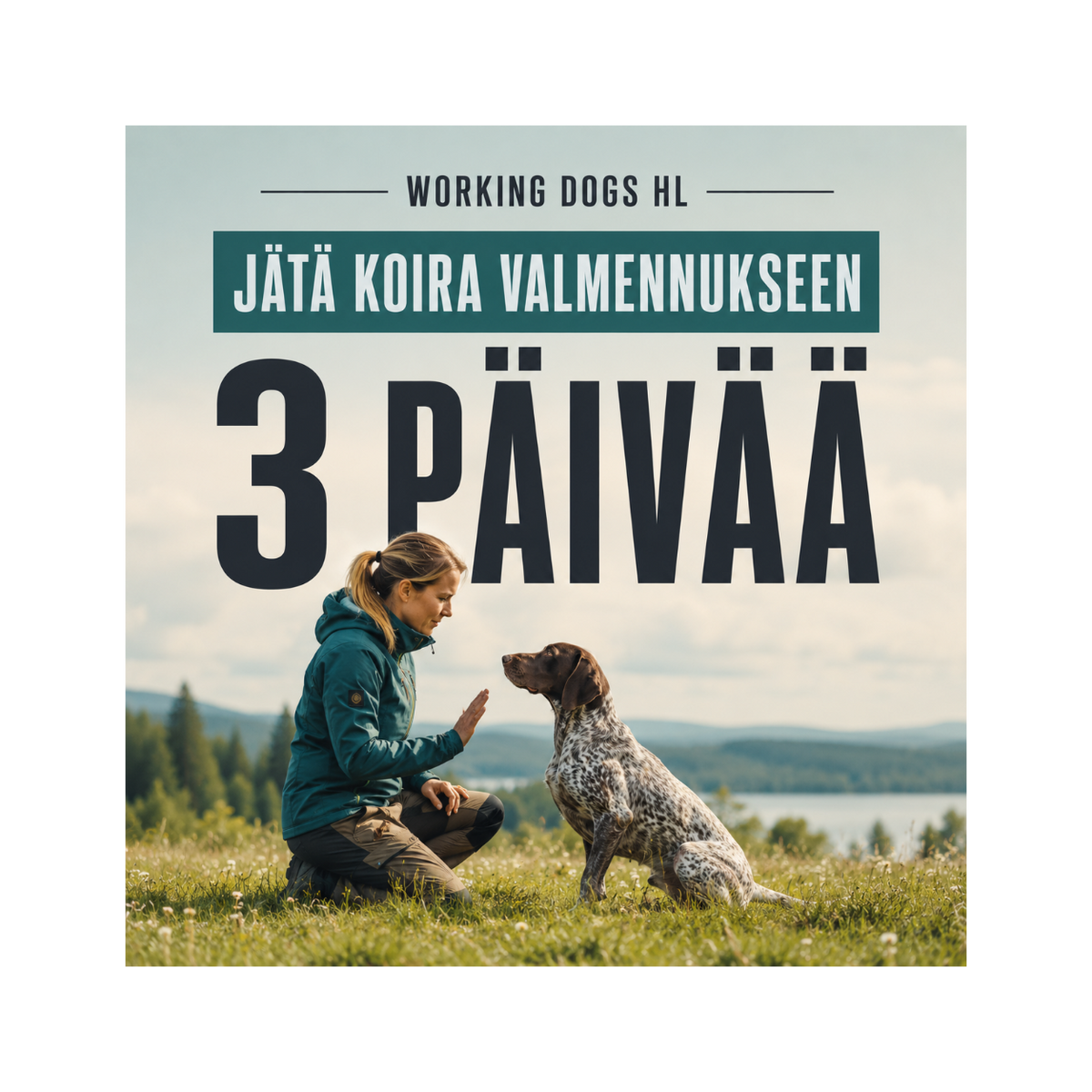 JÄTÄ KOIRA VALMENNUKSEEN 3vrk