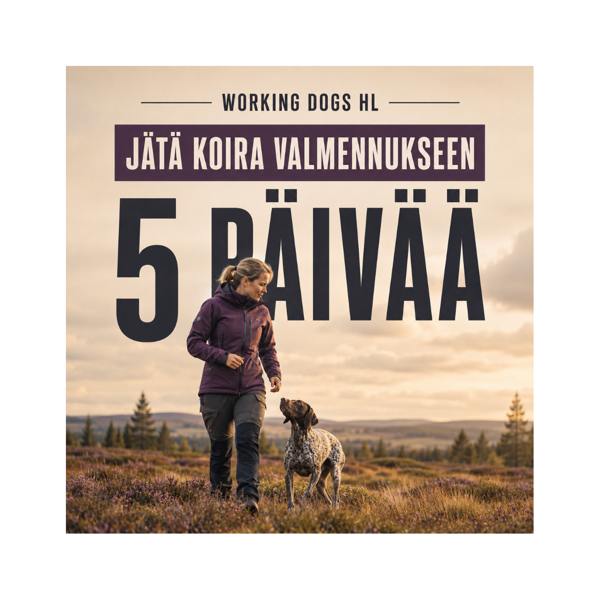 JÄTÄ KOIRA VALMENNUKSEEN 5vrk